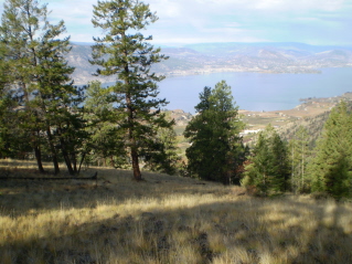 Looking north west towards Okanagan Lake from the peak, Campbell Mountain 2009-10.